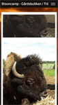 Mobile Screenshot of bisoncamp.se